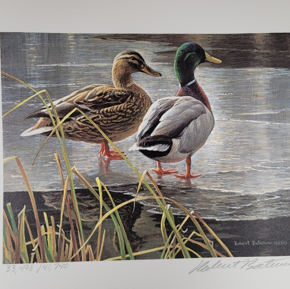 Robert Bateman Mallard Pair Early Winter Print - Picture 1 of 7